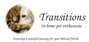 Transitions Veterinary Services | Colorado